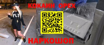 дурь Сланцы