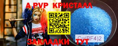 стафф Славянск-на-Кубани