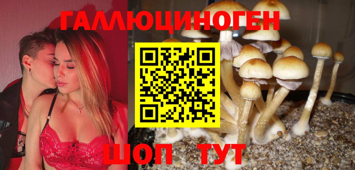 Галлюциногенные грибы GOLDEN TEACHER  Галлюциногенные грибы Magic Shrooms  Псков  магазин продажи   Вход с VPN 